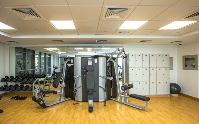 fraudes-na-academia.jpg