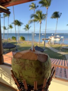 IMG_7856-scaled.jpeg